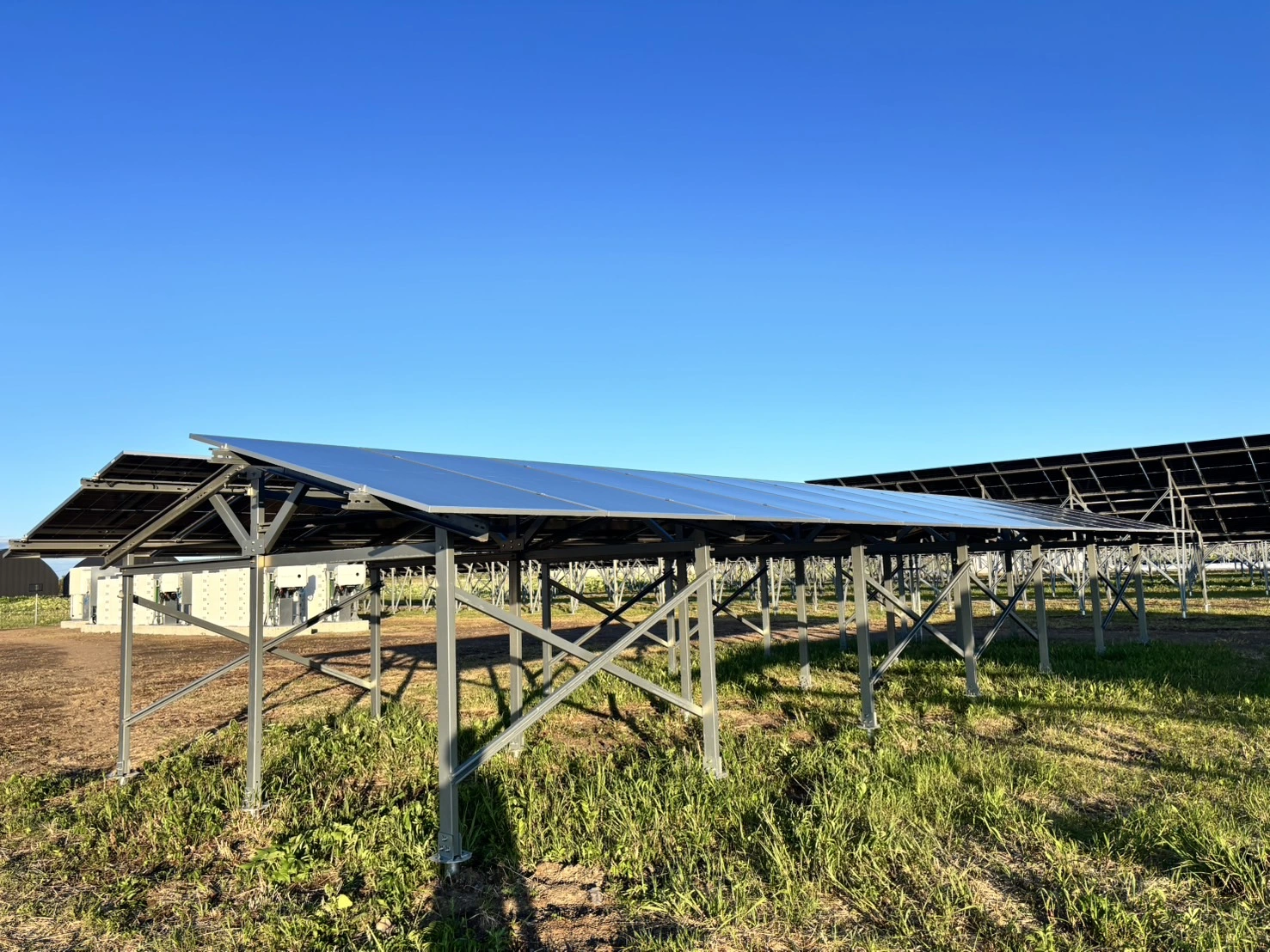 Nhà kính Agri-PV: Thu nhập kép từ một mảnh đất